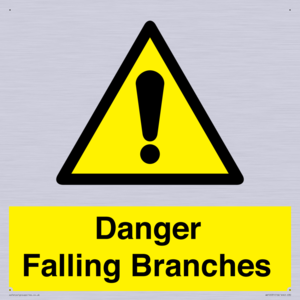 Danger Falling Branches